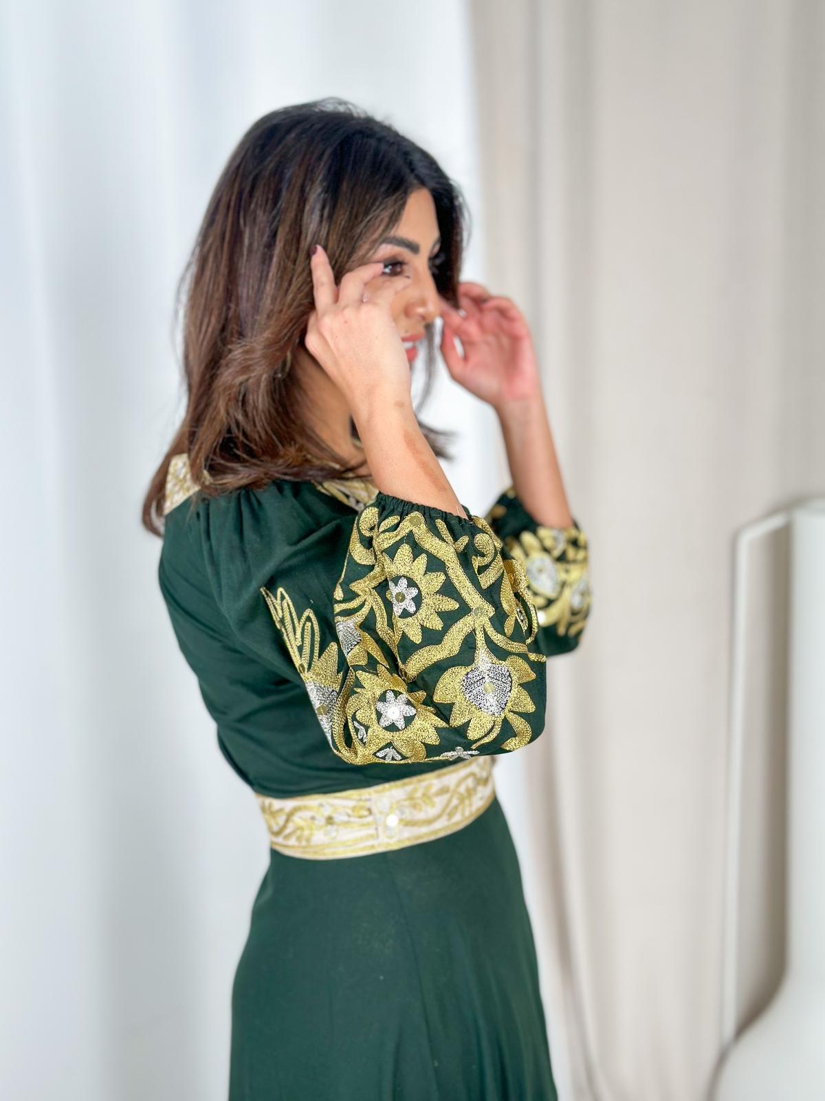 Green and Beige Embroidered Wrap Dress with Border Detail